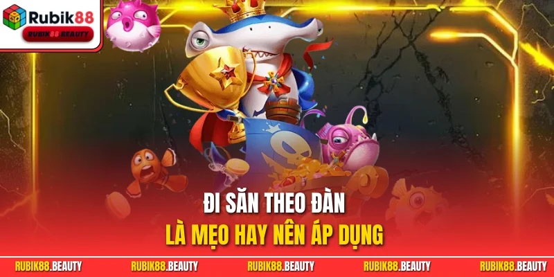 Đi săn theo đàn là mẹo hay nên áp dụng 