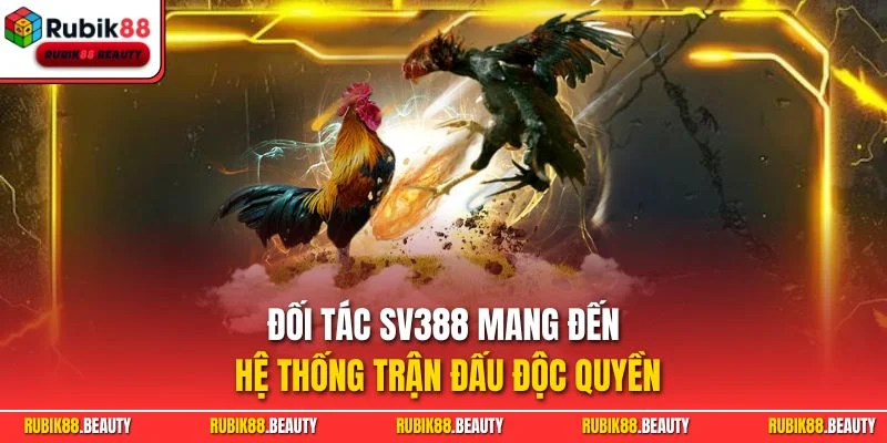 Đối tác SV388 mang đến hệ thống trận đấu độc quyền