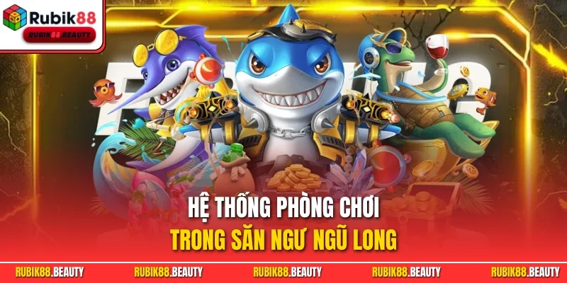 Hệ thống phòng chơi trong săn ngư Ngũ Long