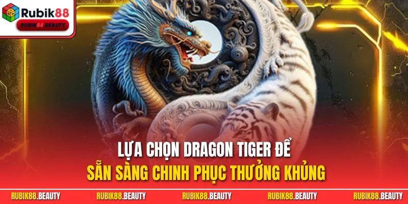 Lựa chọn Dragon Tiger để sẵn sàng chinh phục thưởng khủng