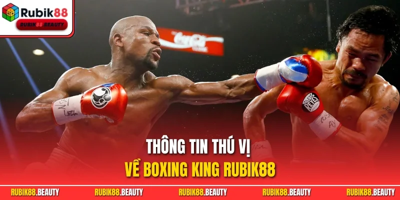 Thông tin thú vị về Boxing King RUBIK88