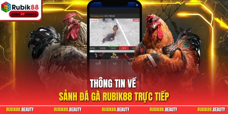 Thông tin về sảnh đá gà RUBIK88 trực tiếp
