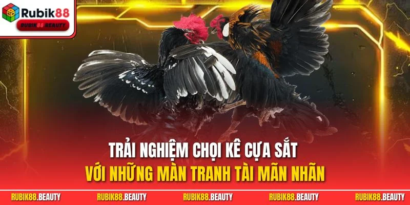 Trải nghiệm chọi kê cựa sắt với những màn tranh tài mãn nhãn